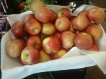 organic fuji apples